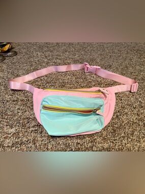 Pastel Pink and Mint Fanny Pack